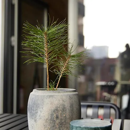 Amaliegade 10 B * Århus