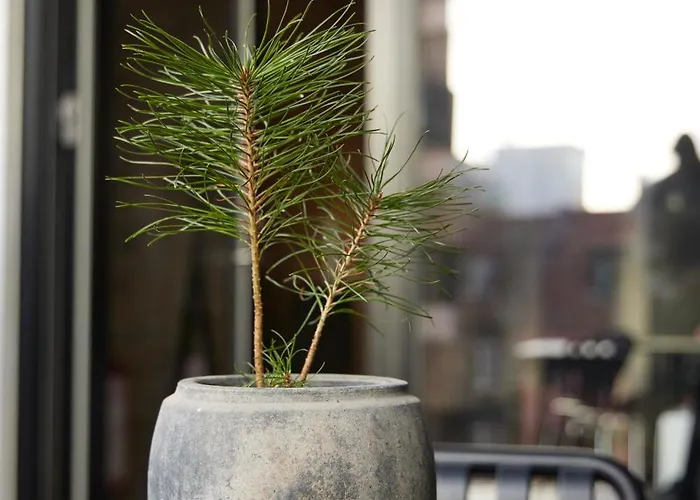 Amaliegade 10 B * Århus